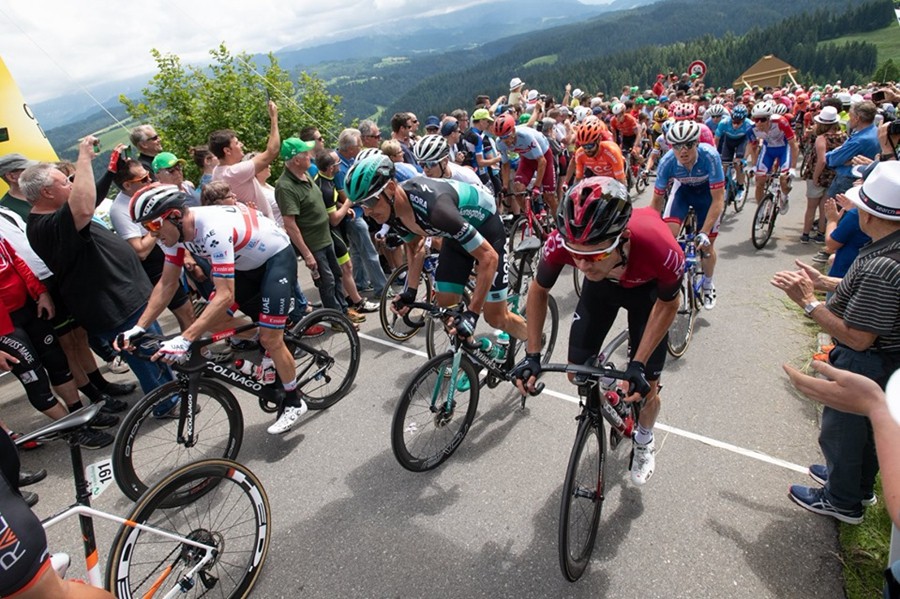 瑞士代表队在不同项目中斩获成功的简单介绍